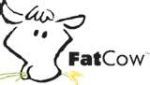 FatCow Promo Codes & Coupons