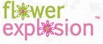 Flower Explosion Promo Codes & Coupons