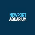 Newport Aquarium Promo Codes & Coupons