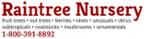 Raintree Nursery Promo Codes & Coupons