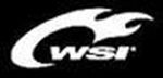 WSI Sports Promo Codes & Coupons